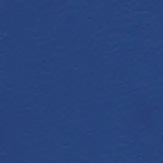 Blue - scanmobile