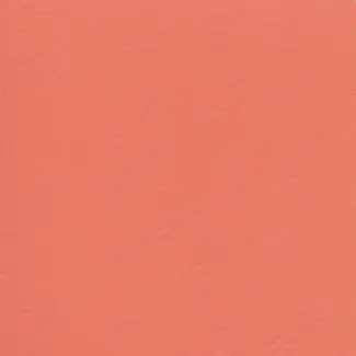 Recreation - Rosa 6157