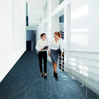 NEST BLUE OFFICE