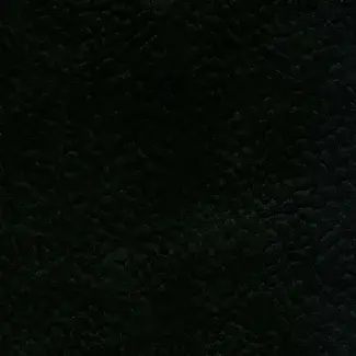 Black - scanmobile