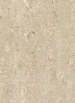 BEESEWAX BEIGE