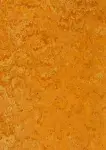 Linodur Peach Orange