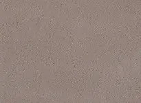 TARASAFE STANDARD - Grizzly