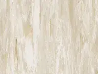 Ivory - scanmobile