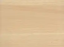 Maple